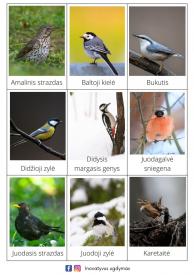 Mokomosios kortelės PAUKŠČIAI