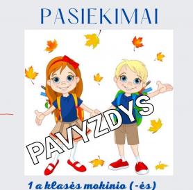 Pasiekimų knygelė