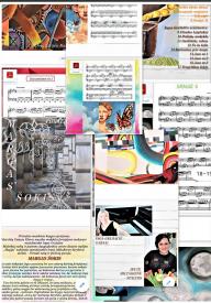 VIRTUALI ANKETA MUZIKOS PAMOKAI