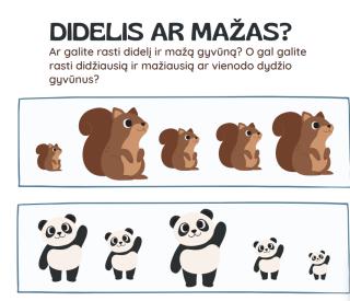 Didelis ar mažas, didžiausias ar mažiausias