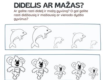 Didelis ar mažas, didžiausias ar mažiausias