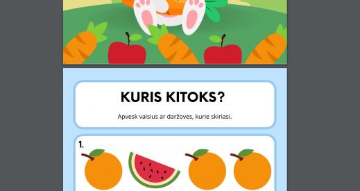UŽDUOČIŲ KNYGUTĖ: VAISIAI IR DARŽOVĖS
