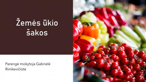 Žemės ūkio šakos skaidrės pamokoms