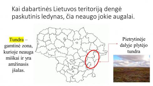 Lietuvos augalija 