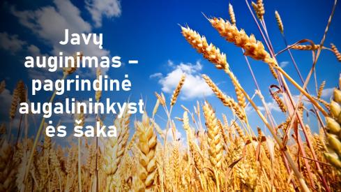 Žemės ūkio šakos skaidrės pamokoms