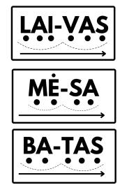 Skaitymo kortelės