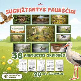 Rinkinys apie sugrįžtančius paukščius