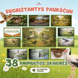 Skaidrės apie sugrįžtančius paukščius