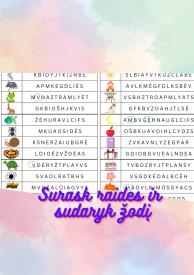Raidžių seklys