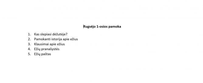 Rugsėjo 1-osios pamoka