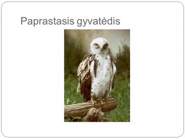 Paukščiai iš Lietuvos raudonosios knygos