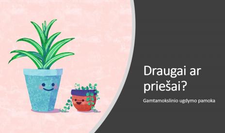 Draugai ar priešai. Augalų elgesys.