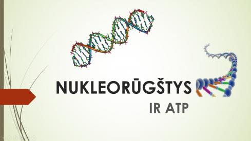 Nukleorūgštys ir ATP