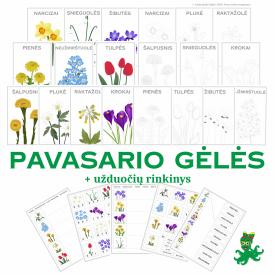 Pavasario gėlės - spalvinimo ir užduočių rinkinys