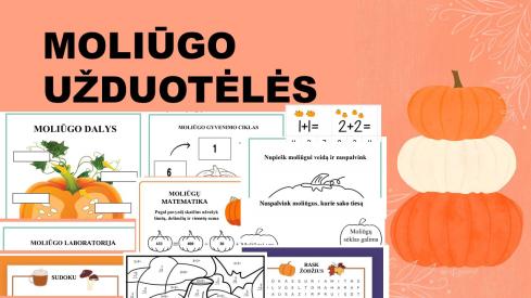 Moliūgo užduotėlės