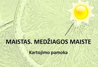 Maistas. Medžiagos maiste. Maisto produktų sudėtis