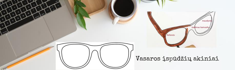 VASAROS ĮSPŪDŽIŲ AKINIAI