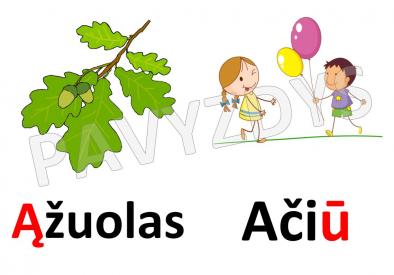 Įsidėmėtinos rašybos žodžiai