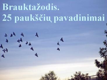 Brauktažodis. Paukščiai.