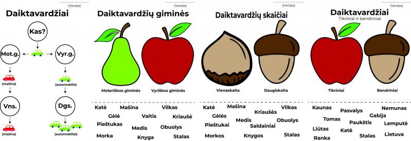 Daiktavardžio ir būdvardžio įtvirtinimas