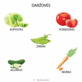 DARŽOVĖS