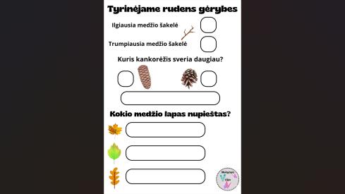 Tyrinėjame rudens gėrybes