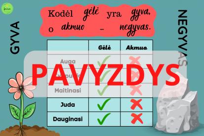 3 mokomieji plakatai pasaulio pažinimo pamokoms