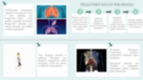 Kodėl kvėpuojame