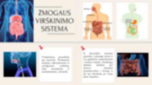 Žmogaus virškinimo sistema