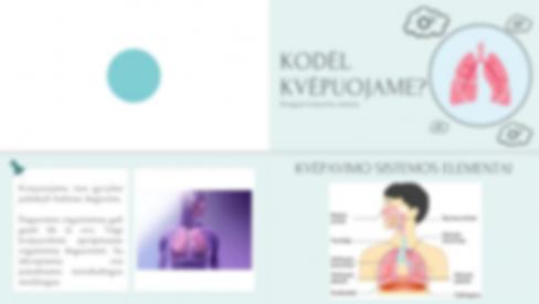 Kodėl kvėpuojame