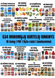 534 mokomųjų kortelių rinkinys