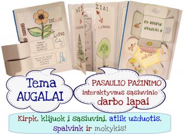 Užduotys apie augalus interaktyviam sąsiuviniui