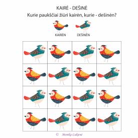 KAIRĖ - DEŠINĖ
