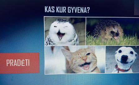 Interaktyvus testas: kas kur gyvena