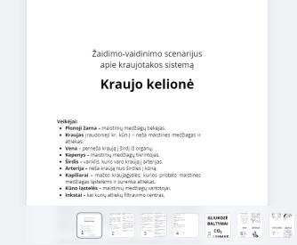 Vaidinimo KRAUJO KELIONĖ scenarijus su priedais