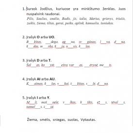 Lietuvių kalbos užduotys