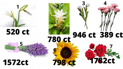Dešimtainės trupmenos