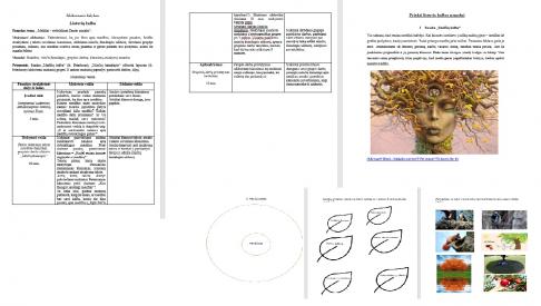 Lietuvių kalbos, dailės, pasaulio pažinimo, matematikos pamokų planai
