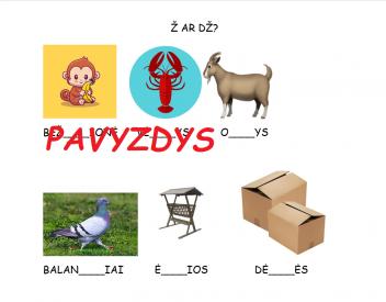 Ž AR DŽ