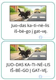 Skaitymo kortelės