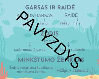 Lietuvių kalbos taisyklės 1 klasė: Garsas ir raidė, Žodžio sandara, Minkštumo ženklas - Jūros tema