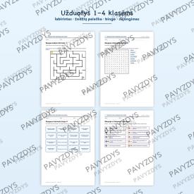 Prieigos prie informacijos diena. 3 pristatymai ir 12 užduočių 1-10 kl.