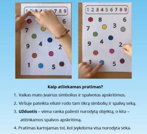 Proto mankšta