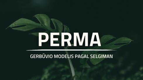 PERMA modelis.
