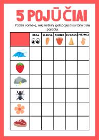 5 pojūčiai