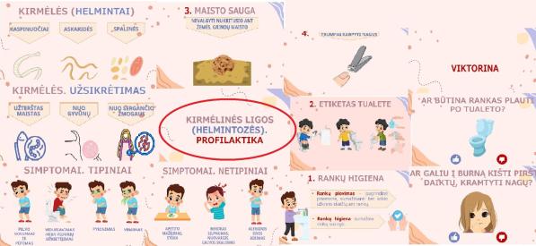 Kirmėlinės ligos - helmintozės. Profilaktikos priemonės. Skaidrės