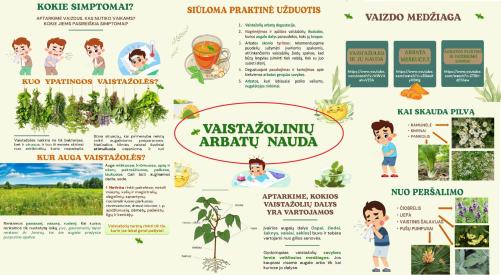 Vaistažolinių arbatų nauda, skaidrės