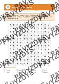 Ritmo rinkinys 1-4 klasei. Bingo žaidimas ir 20 užduočių