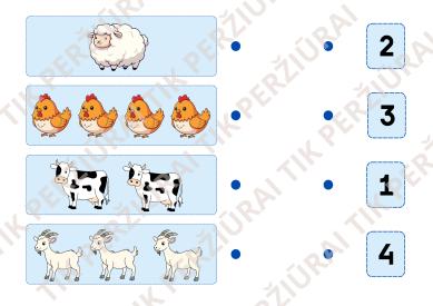 Suskaičiuok naminius gyvūnus
