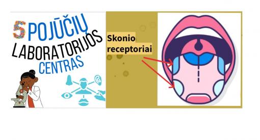 Spragėsių tyrimas per 5 žmogaus jutimus